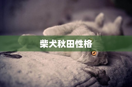 柴犬秋田性格