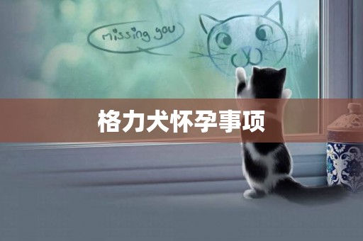 格力犬懷孕事項
