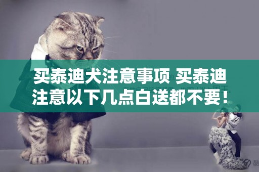 買泰迪犬注意事項 買泰迪注意以下幾點白送都不要！