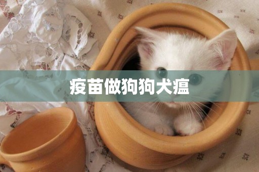 疫苗做狗狗犬瘟