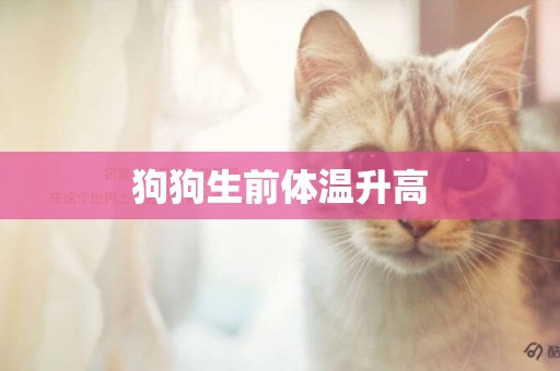 狗狗生前體溫升高