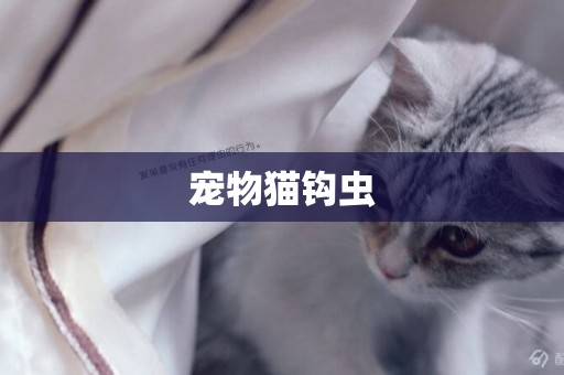 寵物貓鉤蟲