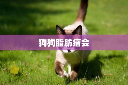 狗狗脂肪瘤會