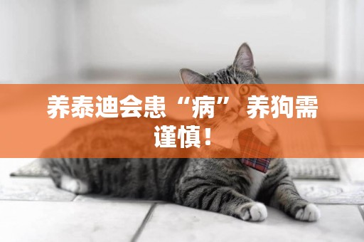 養泰迪會患“病” 養狗需謹慎！