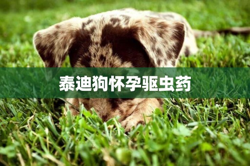 泰迪狗懷孕驅蟲藥