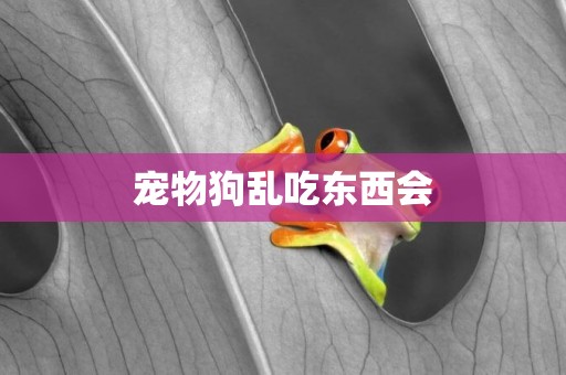 寵物狗亂吃東西會