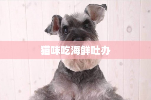 貓咪吃海鮮吐辦