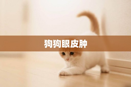 狗狗眼皮腫