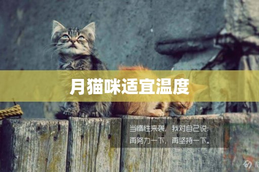 月貓咪適宜溫度