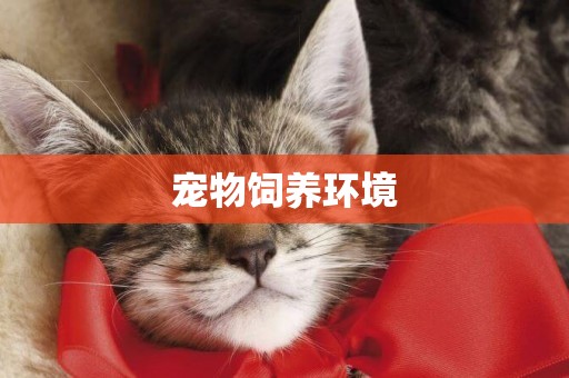 寵物飼養環境