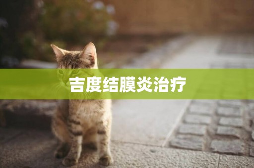 吉度結膜炎治療