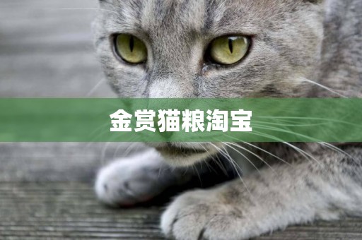 金賞貓糧淘寶