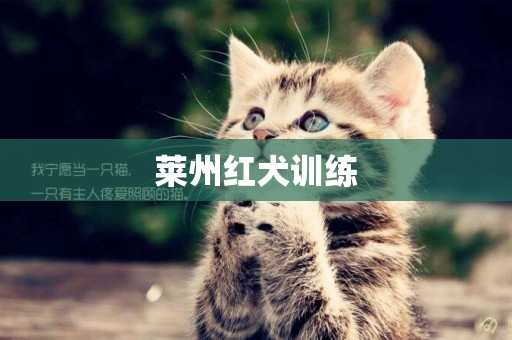 萊州紅犬訓練