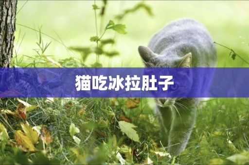 貓吃冰拉肚子