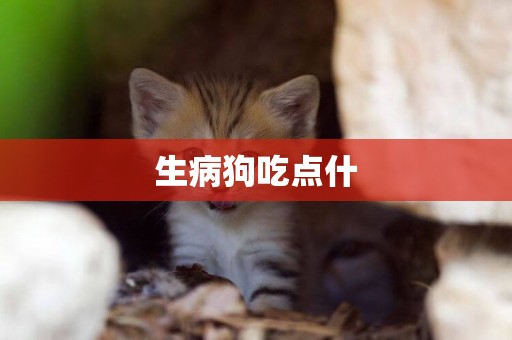 生病狗吃點什
