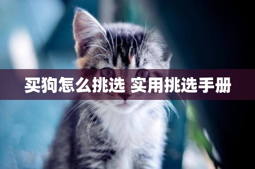 買狗怎么挑選 實用挑選手冊