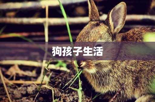 狗孩子生活