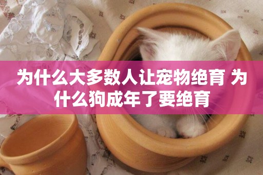 為什么大多數人讓寵物絕育 為什么狗成年了要絕育