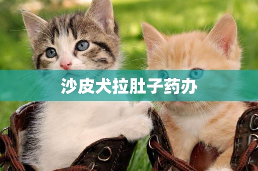 沙皮犬拉肚子藥辦