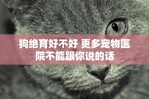 狗絕育好不好 更多寵物醫院不能跟你說的話