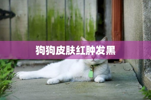 狗狗皮膚紅腫發黑