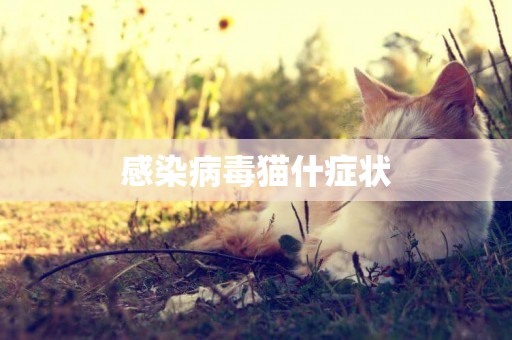 感染病毒貓什癥狀
