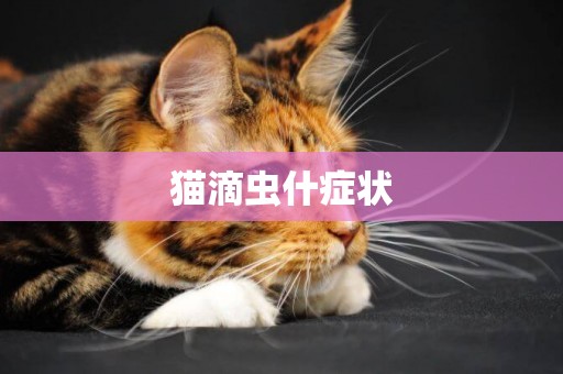 貓滴蟲什癥狀