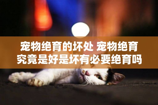 寵物絕育的壞處 寵物絕育究竟是好是壞有必要絕育嗎