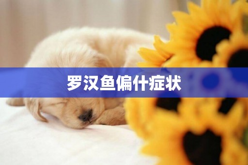 羅漢魚偏什癥狀