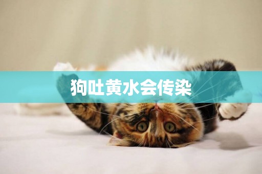 狗吐黃水會傳染
