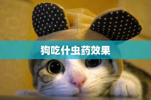狗吃什蟲藥效果