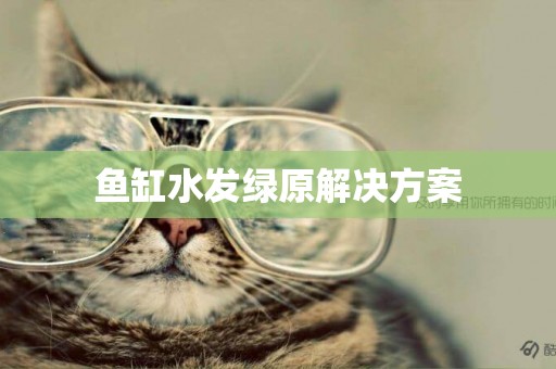魚缸水發綠原解決方案