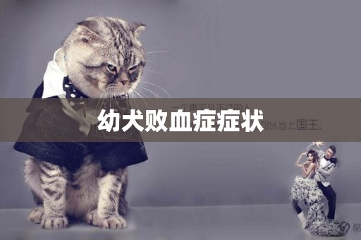 幼犬敗血癥癥狀