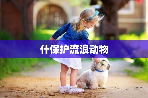 什保護流浪動物