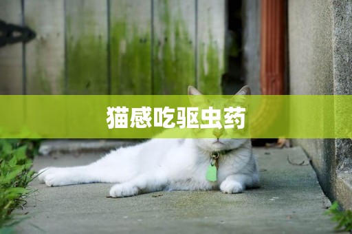 貓感吃驅蟲藥