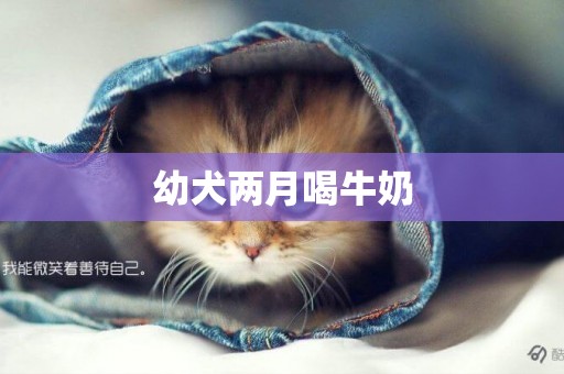 幼犬兩月喝牛奶