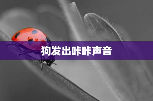 狗發出咔咔聲音