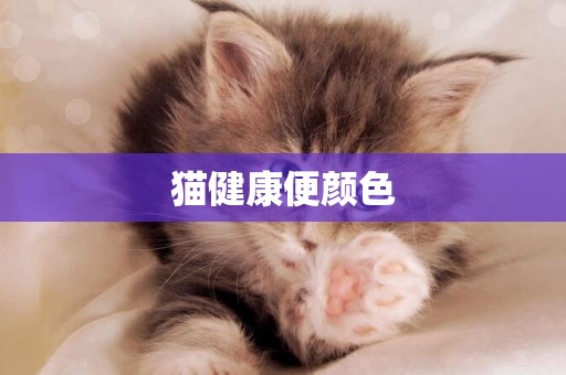 貓健康便顏色