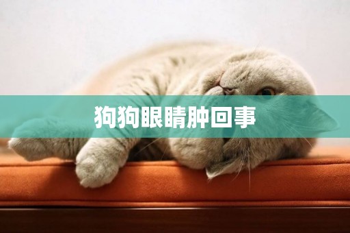 狗狗眼睛腫回事