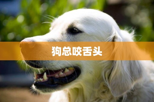 狗總咬舌頭