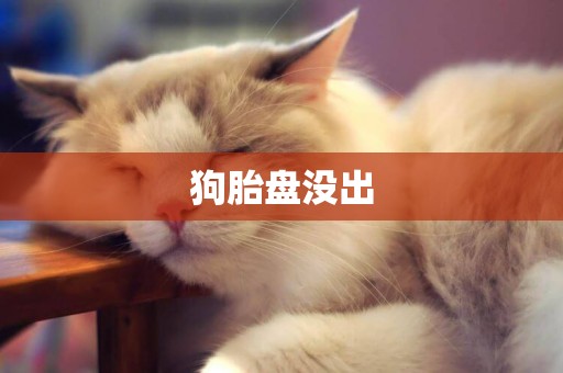 狗胎盤沒出