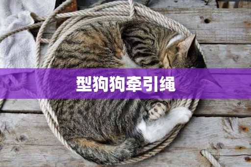 型狗狗牽引繩