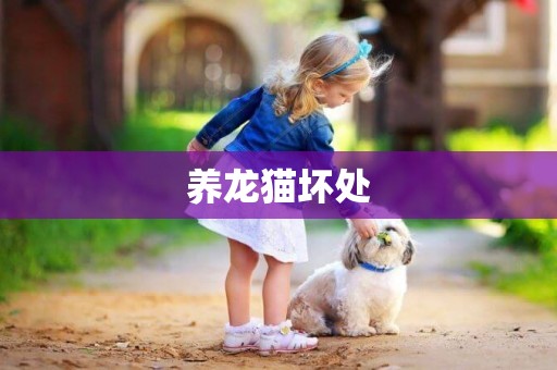 養龍貓壞處
