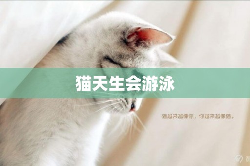 貓天生會游泳