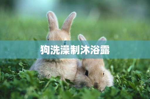 狗洗澡制沐浴露