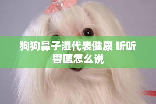 狗狗鼻子濕代表健康 聽聽獸醫怎么說
