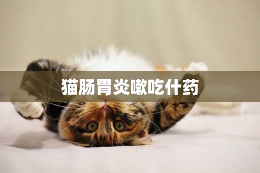 貓腸胃炎嗽吃什藥