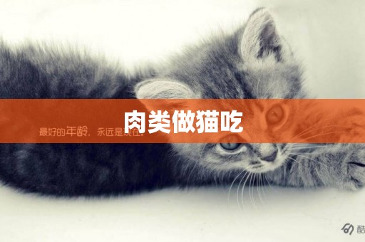 肉類做貓吃