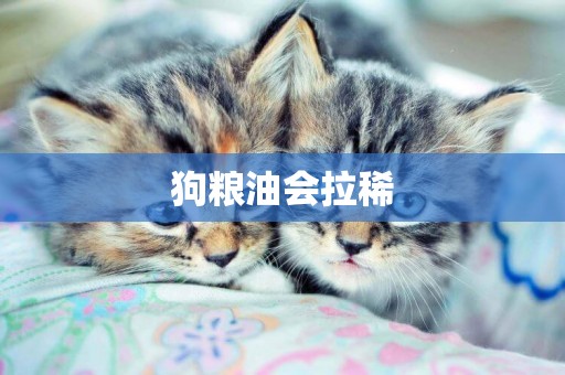 狗糧油會拉稀