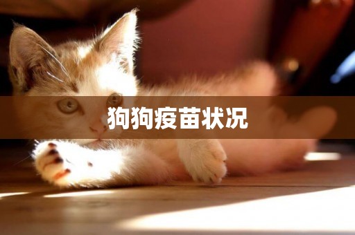 狗狗疫苗狀況